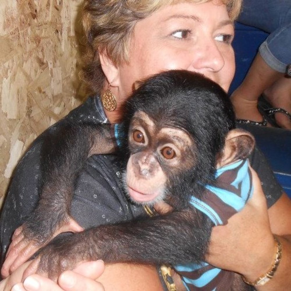 Meet your Posher, Lori